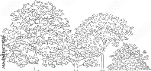 A detailed black and white line art illustration of a grove of deciduous trees and a bush, a serene natural landscape element for design projects