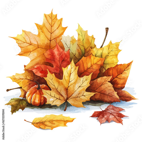 Autumn Leaf Pile, watercolor vector, isolated on a white background.