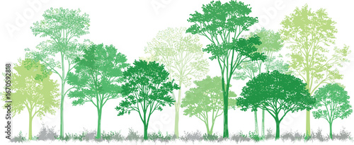 Lush Green Forest Tree Silhouette Illustration