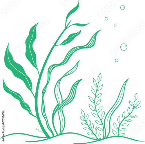 "Elegant green seaweed illustration with underwater bubbles and flowing aquatic plants. Minimal ocean flora design for natural projects. Perfect for marine, botanical, and abstract artwork."