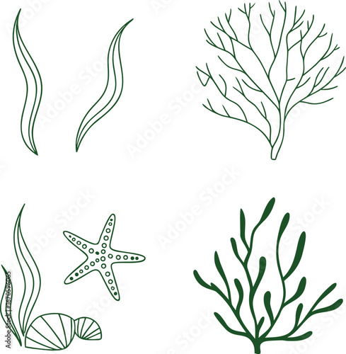 "Marine elements illustration with seaweed, coral, starfish, and shells in green outline. Ocean flora and fauna design for underwater themes. Decorative aquatic nature artwork for sea projects."
