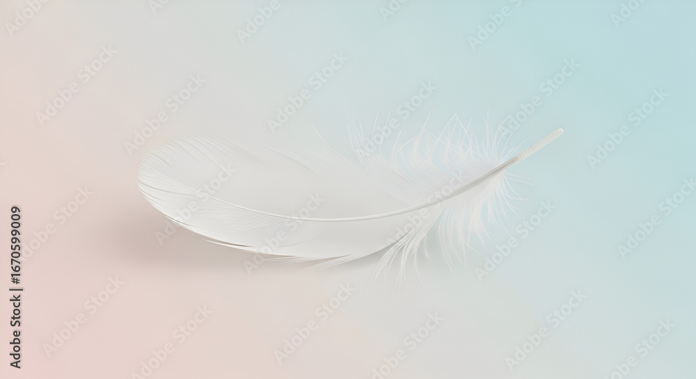 Obraz premium White feather on light background 