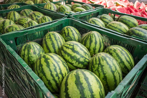 fresh vegetables at the market