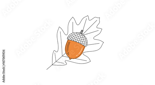 Detailed hand drawn illustration of a single oak acorn resting on a rough oak leaf with a simple outline on a white background