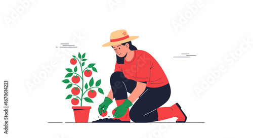 Woman Gardening Tomatoes, Planting and Cultivating in Garden with Hat and Gloves