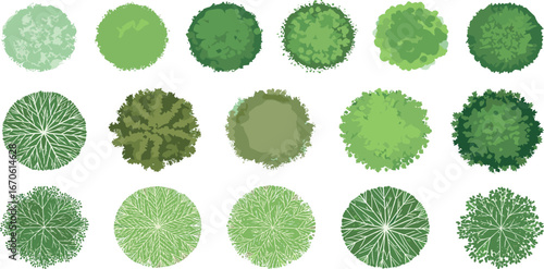 Overhead View of Various Green Trees for Landscape Design and Architectural Planning