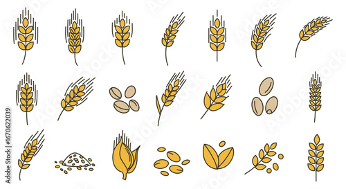 A collection of various wheat grains and ears illustrations