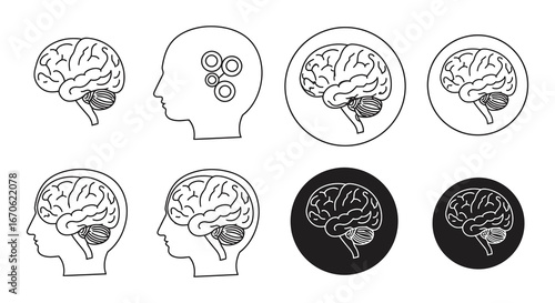 Brain illustrations in various formats and styles for medical or educational use