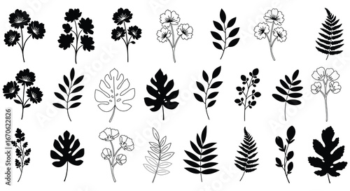 Collection of various black and white leaf and flower illustrations
