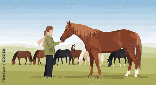 Woman Feeding a Horse in Pasture with Herd Tranquil Rural Scene
