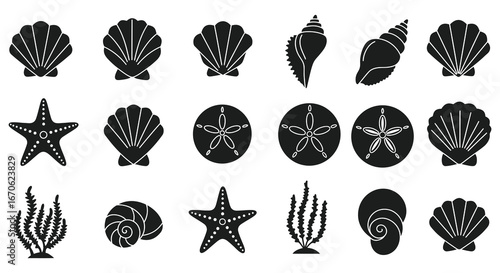 Collection of black and white ocean shell and starfish icons