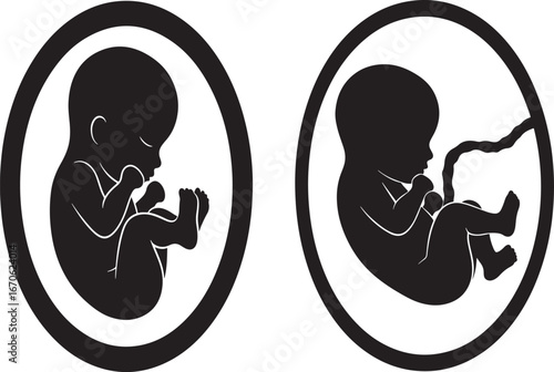 Two fetal development silhouettes in oval frames