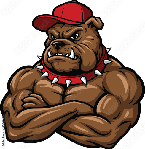 Muscular bulldog mascot illustration, tough cartoon dog with red cap and spiked collar, strong aggressive bulldog character design, vector