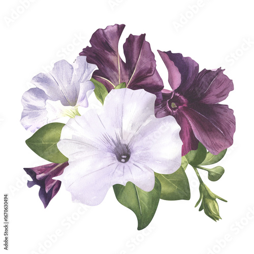 White and purple flower arrangement watercolor illustration. Black and white petunia bouquet for spring card. Gardening and harmony. Flower clip art of buds with greenery. Botanical illustration