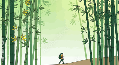Wanderer's journey through serene bamboo forest a scenic adventure illustration