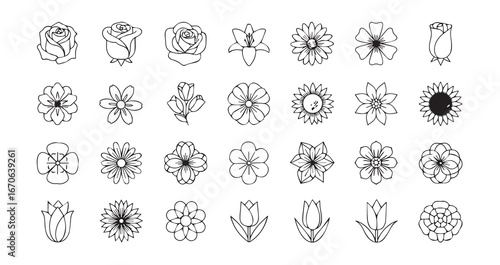 Flower head line art icon bundle illustration