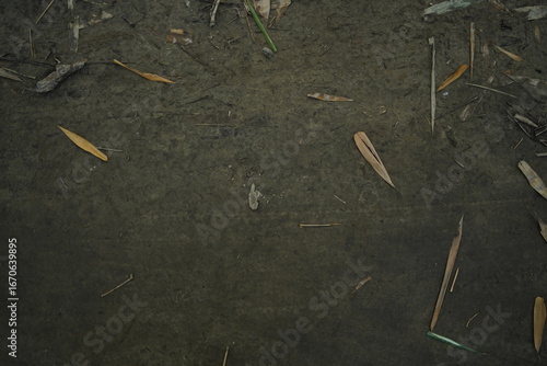 Soil texture baground image