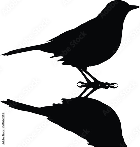 Black Silhouette of Bird Perched on Branch with Perfect Mirrored Reflection Below, Facing Right, Capturing Minimalist Natural Elegance and Visual Symmetry in Monochrome Composition