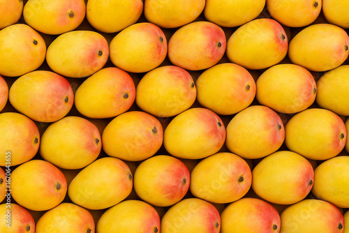 Alphonso mangoes stock photo