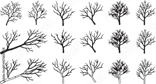 Collection of hand drawn bare trees in winter season isolated on white background