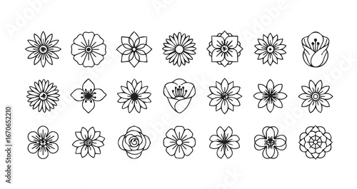 Flower head line art icon bundle illustration