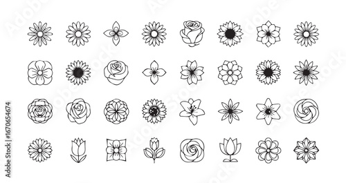 Flower head line art icon bundle illustration