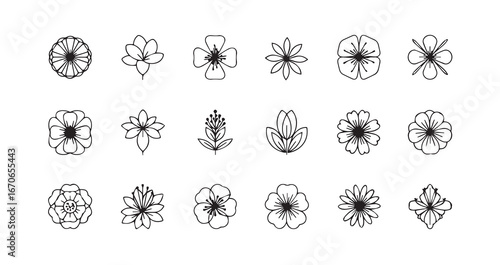 Flower head line art icon bundle illustration