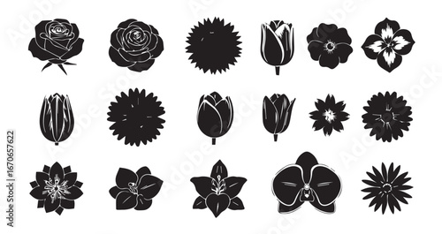 Flower head silhouette icon bundle illustration