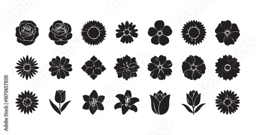 Flower head silhouette icon bundle illustration