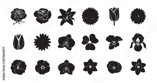 Flower head silhouette icon bundle illustration