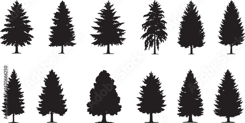 Christmas pine trees silhouettes. Coniferous forest monochrome woods, vintage fir trees silhouettes vector isolated icons set. Spruce forest trees silhouettes