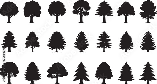 Conifer and Spruce Tree Silhouette Collection, Christmas & New Year Tree Vector Set Bundle