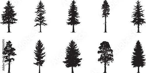 Pine tree silhouette clipart collection on white background