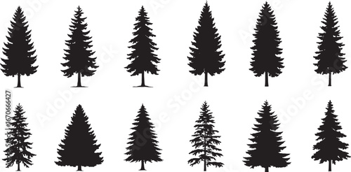Pine tree silhouette clipart collection on white background