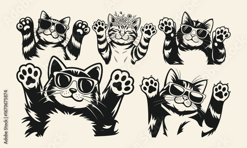 Peeking sunglass Cat SVG Bundle, Cute Cat SVG files, curious Pet Vector, Kitten svg, Cut Files for Cricut & Silhouette in Svg.