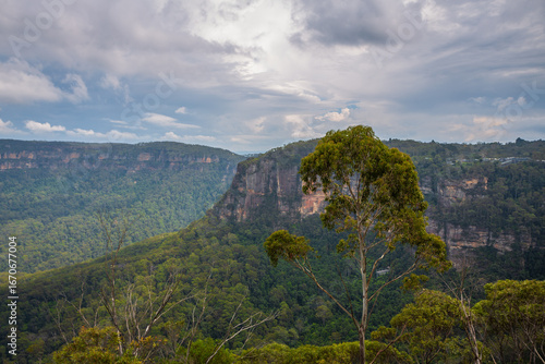 Canvas Print Scenic view of Blue Mountains near Sydney, Australia, with lush forests, sandstone cliffs and dramatic sky