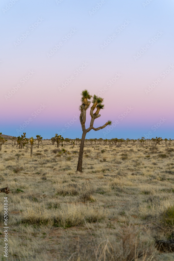 Obraz premium Outreach