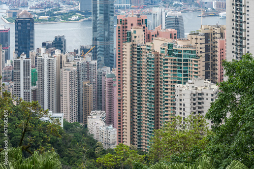 Obraz na plátně View of Hong Kong and Kowloon from Victoria peak