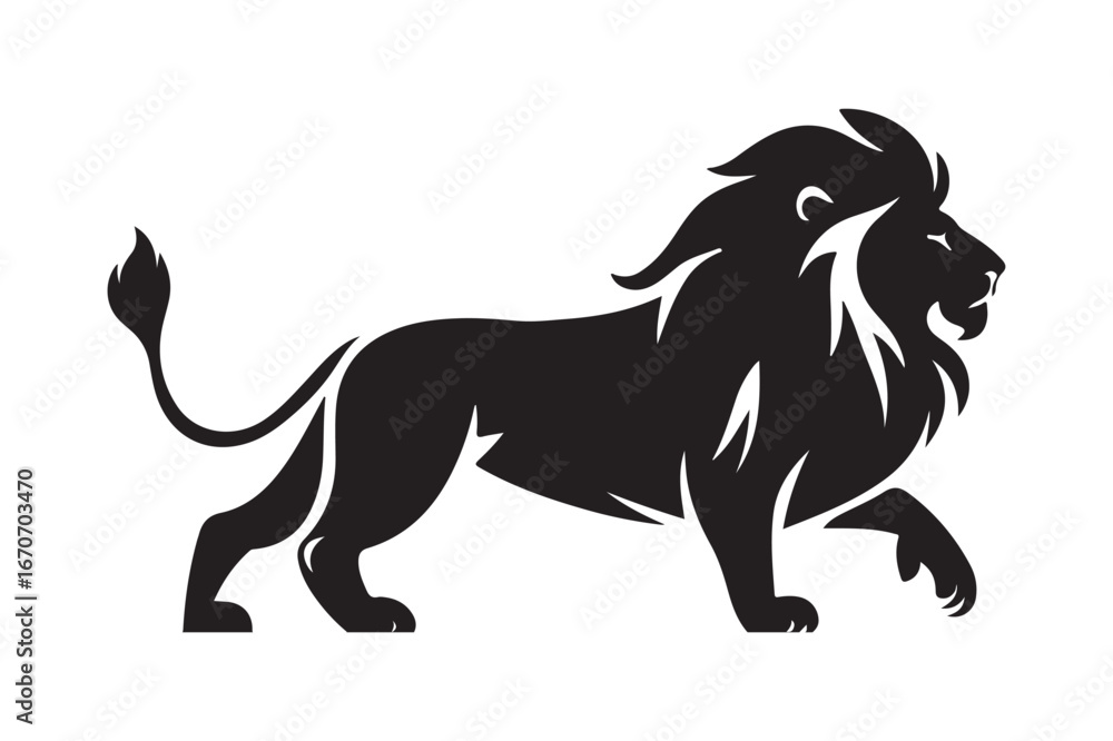 Obraz premium Majestic silhouette of a walking lion