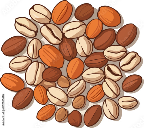 Vector Illustration of Roasted Mixed Nuts – Almonds, Hazelnuts, Pistachios, Peanuts Isolated