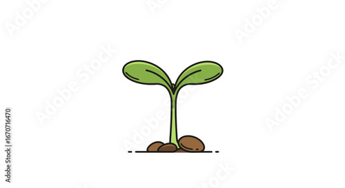 Plant sprout seedling growing growth nature agriculture garden eco organic life fresh spring earth on transparent background