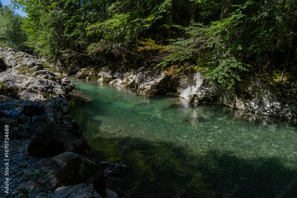Fototapeta premium mountain river in the forest with clear green water and a natural pool in between rocks and trees in the nature of Bregenzer Wald in Vorarlberg Austria