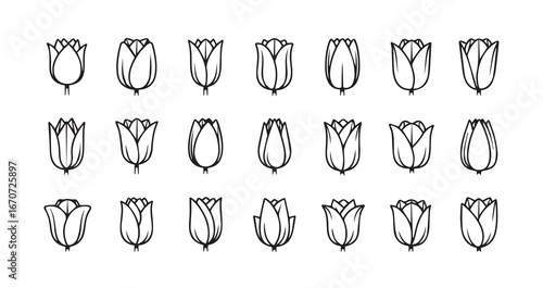 Tulip line art icon bundle illustration