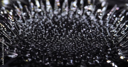 Magnetic fluid. Ferrofluid. Black liquid surface. Abstract background.