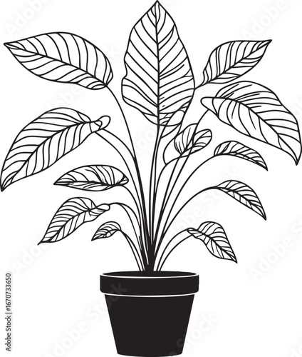 Houseplant outline illustration. Minimalist black and white line art of indoor plant in pot