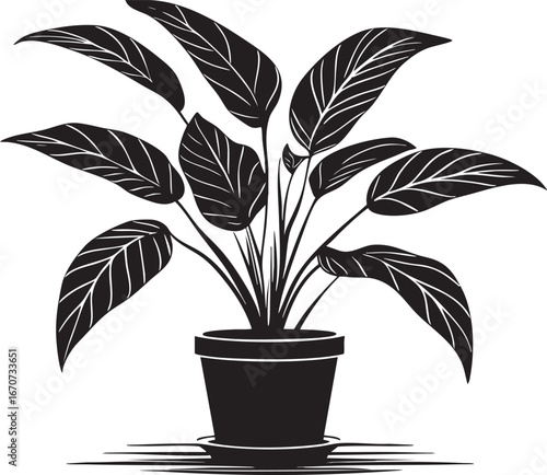 Houseplant outline illustration. Minimalist black and white line art of indoor plant in pot