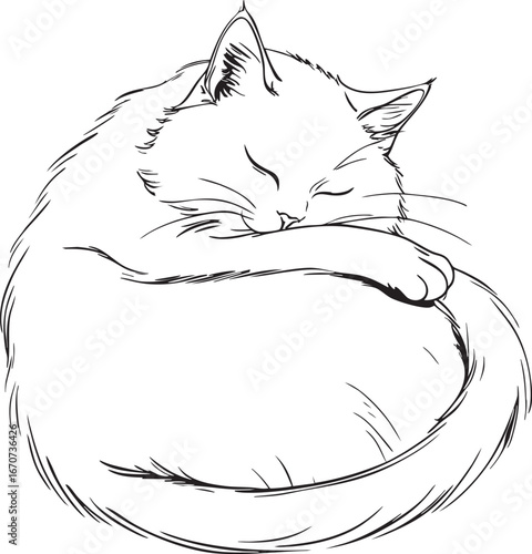 Sleeping cat outline. Minimalist black and white vector symbolizing calm and comfort.