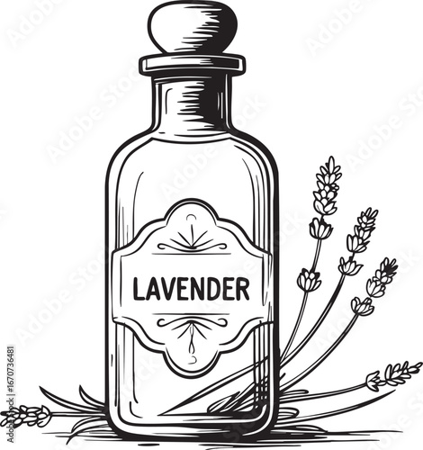 Lavender apothecary bottle outline. Minimalist black and white vector of vintage herbal remedy container.