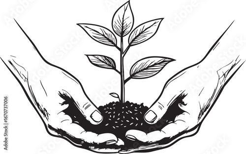 Hands holding plant outline. Minimalist vector of sustainability growth and nature care.