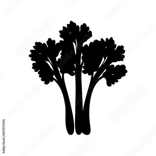 Silhouette of Cilantro or Parsley, Fresh Herb, Ingredient, Condiment